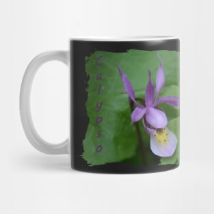 Calypso Orchid Mug